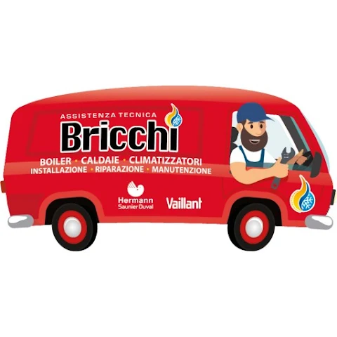 App Assistenza Bricchi